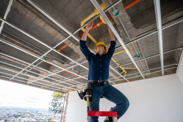 Best Clogged Drain Plumber  in Canby, MN