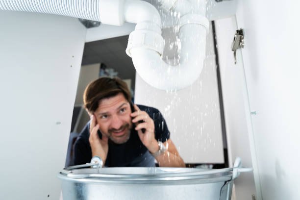 Best 24-Hour Plumber Near Me  in Canby, MN