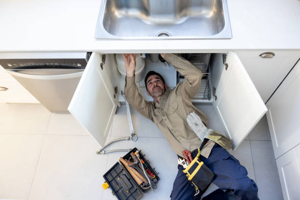 Best Septic Systems  in Canby, MN