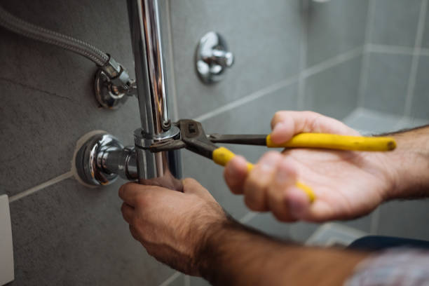 Best Commercial Plumbing Services  in Canby, MN