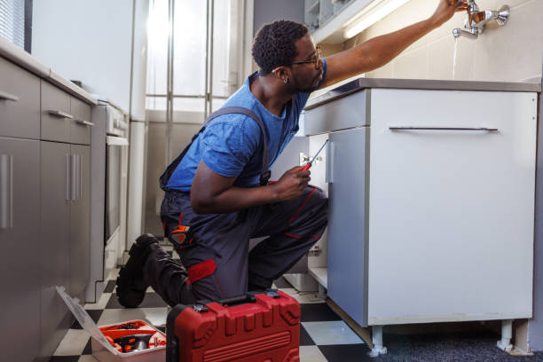 Best Sprinkler Systems  in Canby, MN